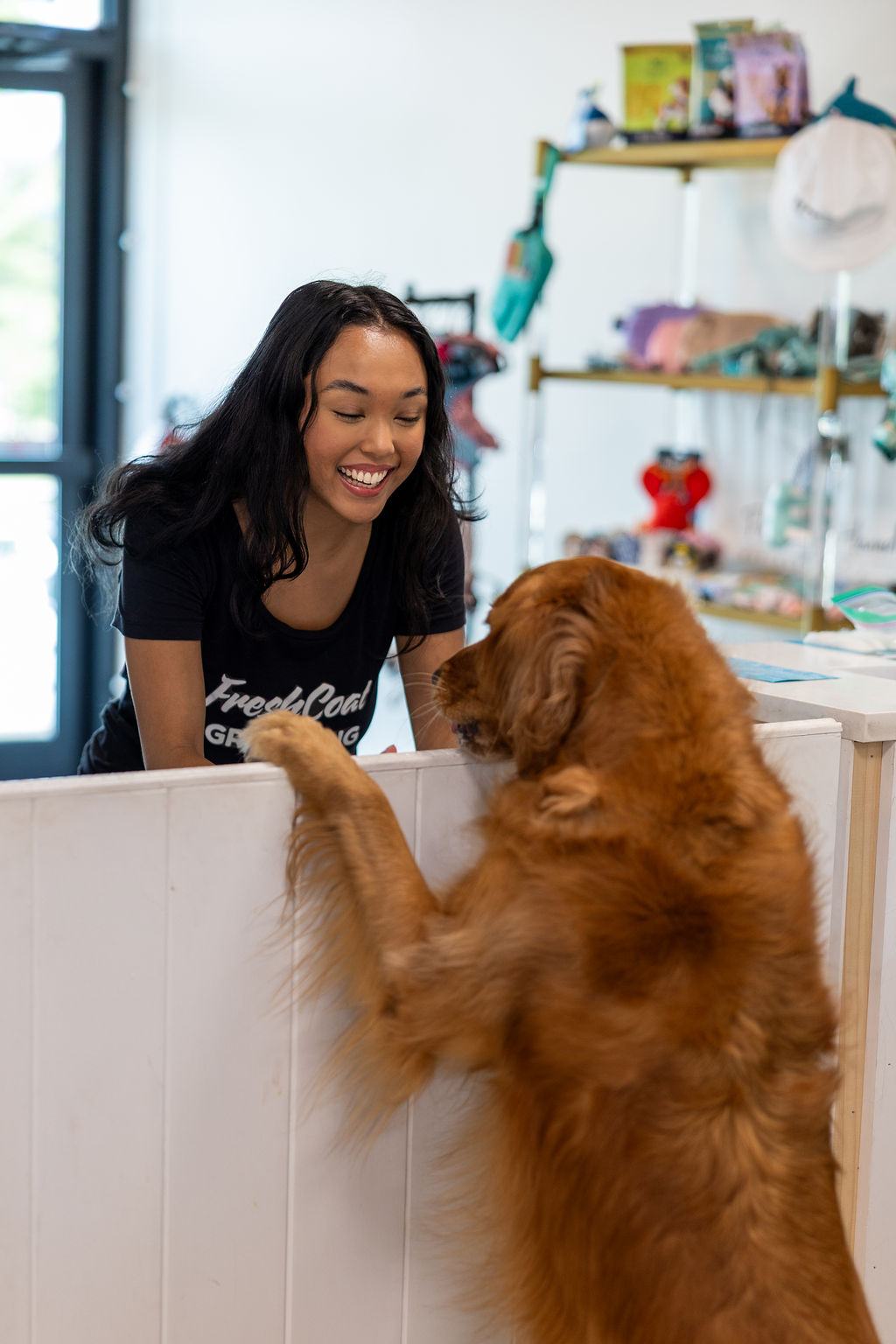 FreshCoat Grooming Front Desk FreshCoat Grooming front desk staff member greeting a friendly golden retriever at the check-in counter in Charlotte, NC