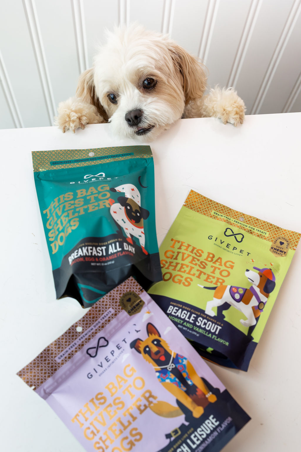 Dog receiving a treat after grooming